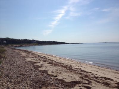 planting_island_1-400x300